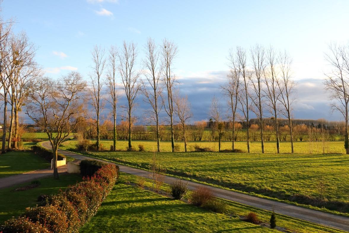 Bed and Breakfast Domaine De La Fontaine Chavagne Экстерьер фото